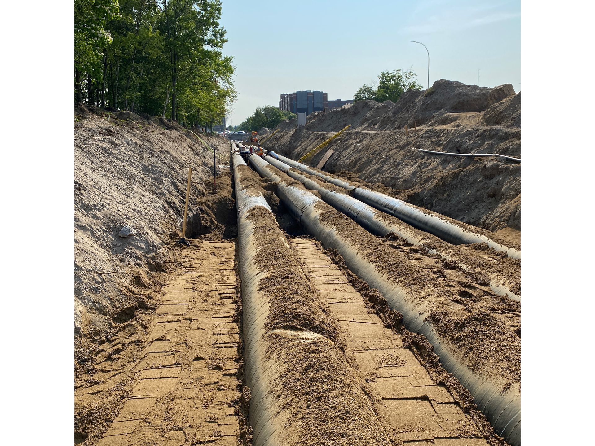A bunch of pipes are laying in the dirt in a trench.