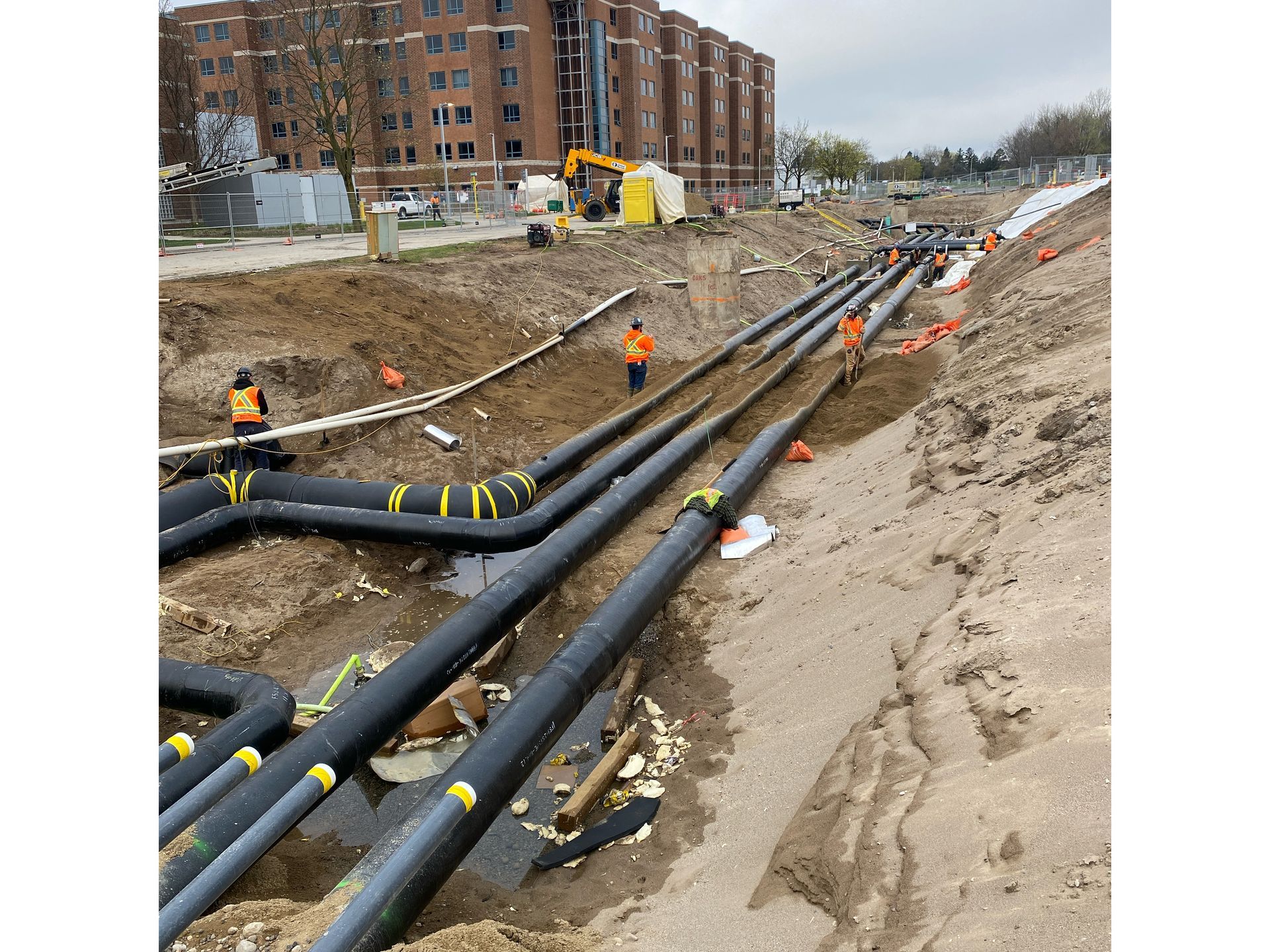 A bunch of pipes are being installed in the dirt