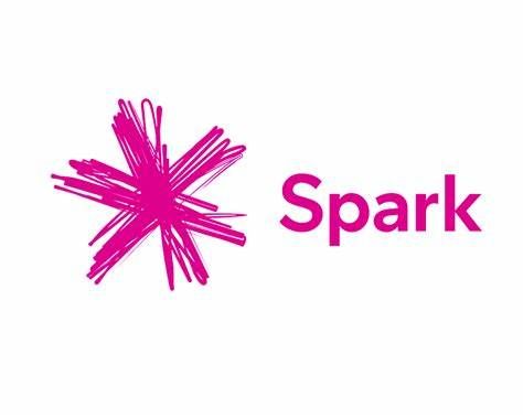 A pink spark logo with a pink star on a white background.