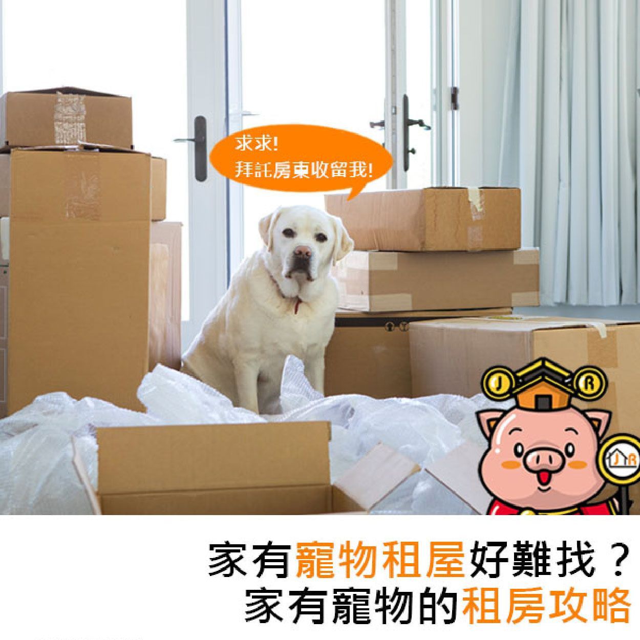 家有寵物租屋好難找？家有寵物的租房攻略