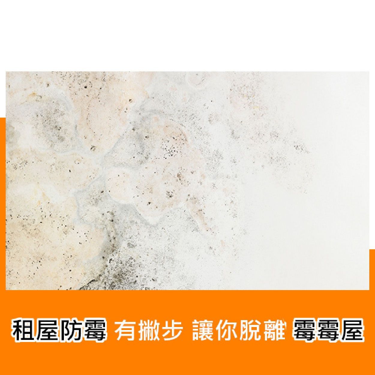 租屋防霉有撇步，讓你脫離霉霉屋