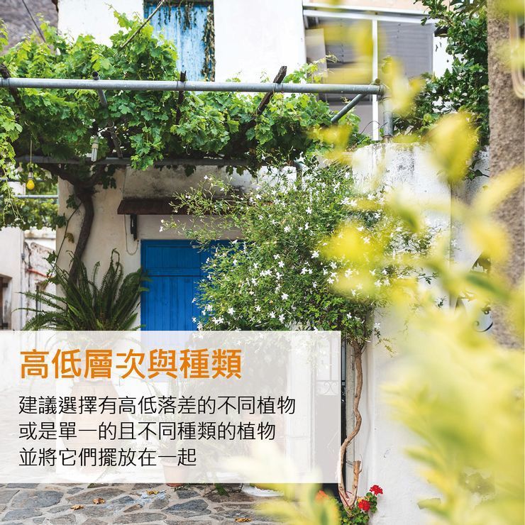 高低層次與種類