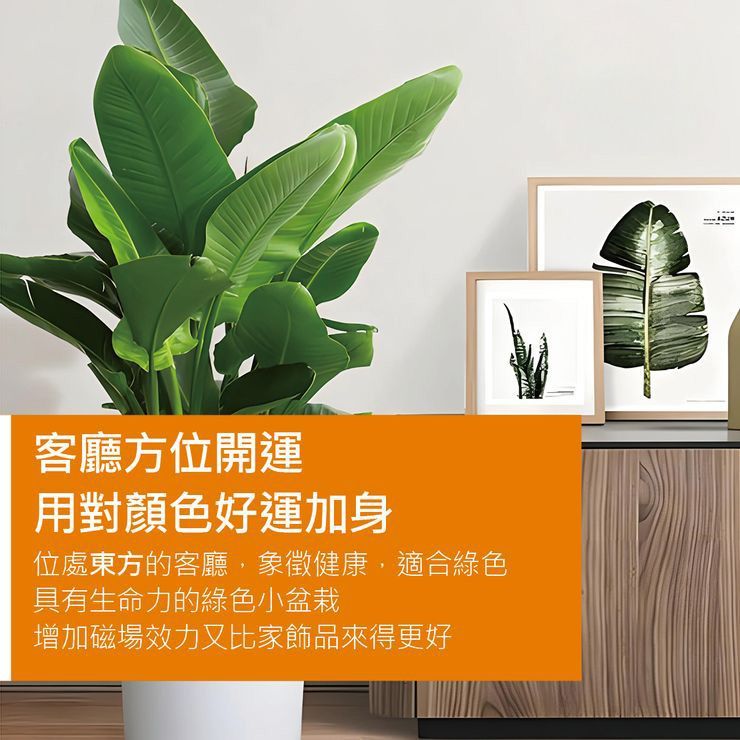 客廳方位開運 用對顏色好運加身