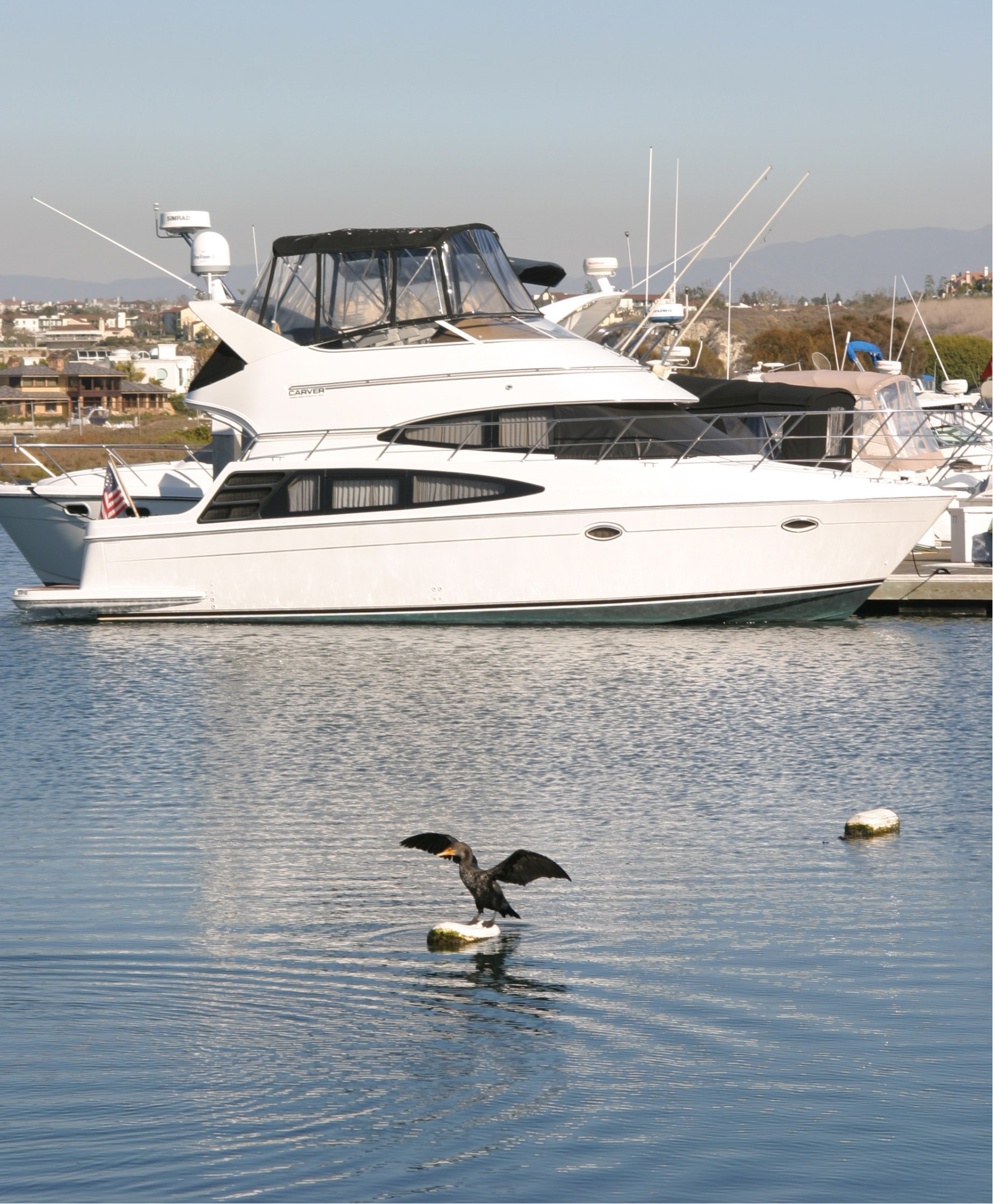 Yacht slipped in Bayside Village Marina with shore bird in foreground
