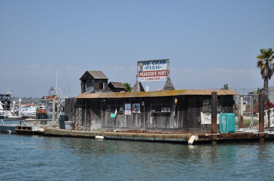 Pearson's Port Bait Shop located next to Bayside Village Marina