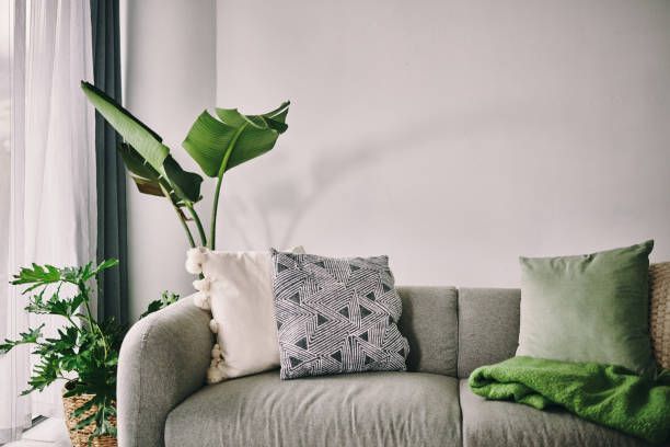 A living room with a couch , pillows , a plant and a window.