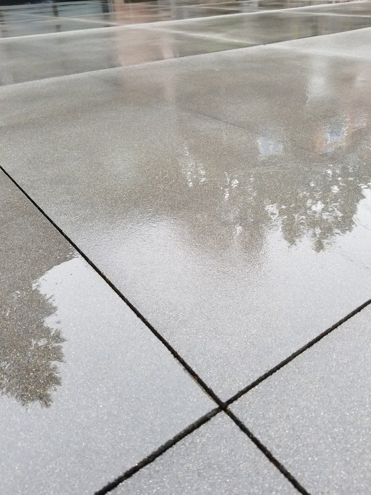 A reflection of trees in a puddle on a wet sidewalk.