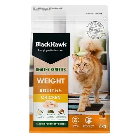 BlackHawk cat food bag, "Weight Adult with Chicken" on a white background. A ginger cat is walking, looking at the viewer.
