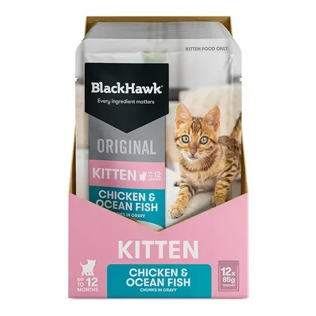 Black Hawk KITTEN Original Chicken Oceanfish in Gravy Pouch 85g (12 pack)