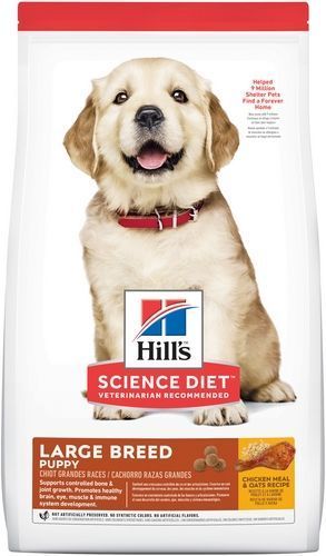 Hill'S Science Diet PUPPY LARGE Breed 12kg