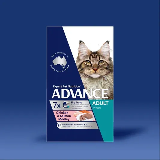 Box of Advance Adult cat food with a cat on the front, in a blue and white box. It reads "Chicken & Salmon Mousse."