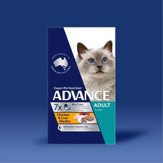 A box of Advance cat food with a blue and white design featuring a Ragdoll cat and images of chicken and liver.