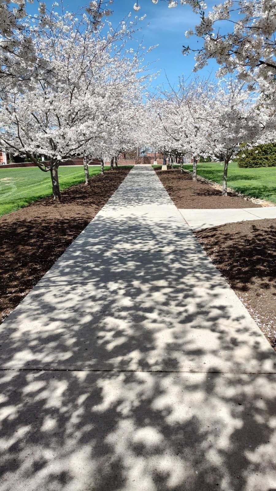 Gutter Cleaning Hickory, NC How Deep Trenching