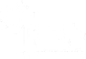 A white background with a lot of small dots on it