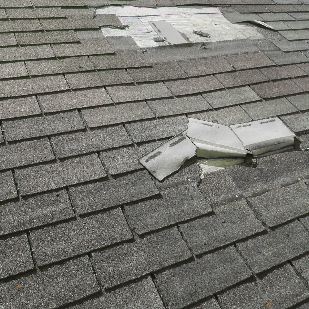 hail damage roof