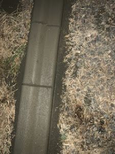 A concrete curb is surrounded by grass and leaves on the ground.