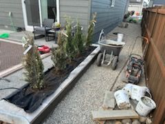 A backyard with a wheelbarrow and a lawn mower.