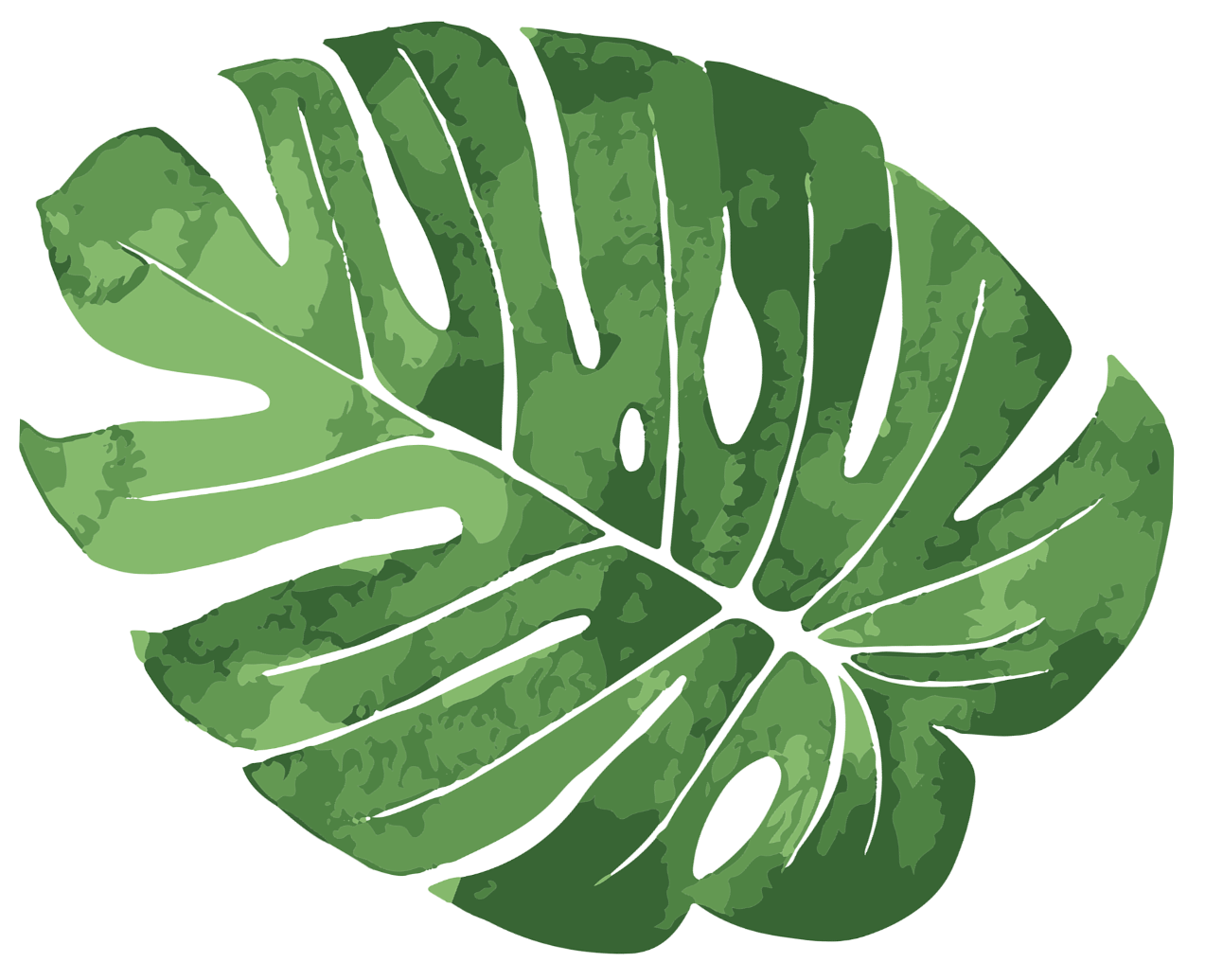 A green tropical leaf with a white outline on a white background.