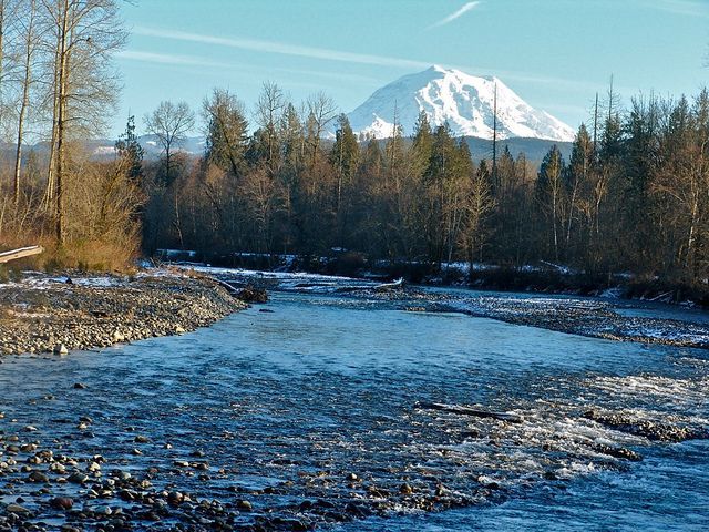 Orting commercial cleaning and janitorial services