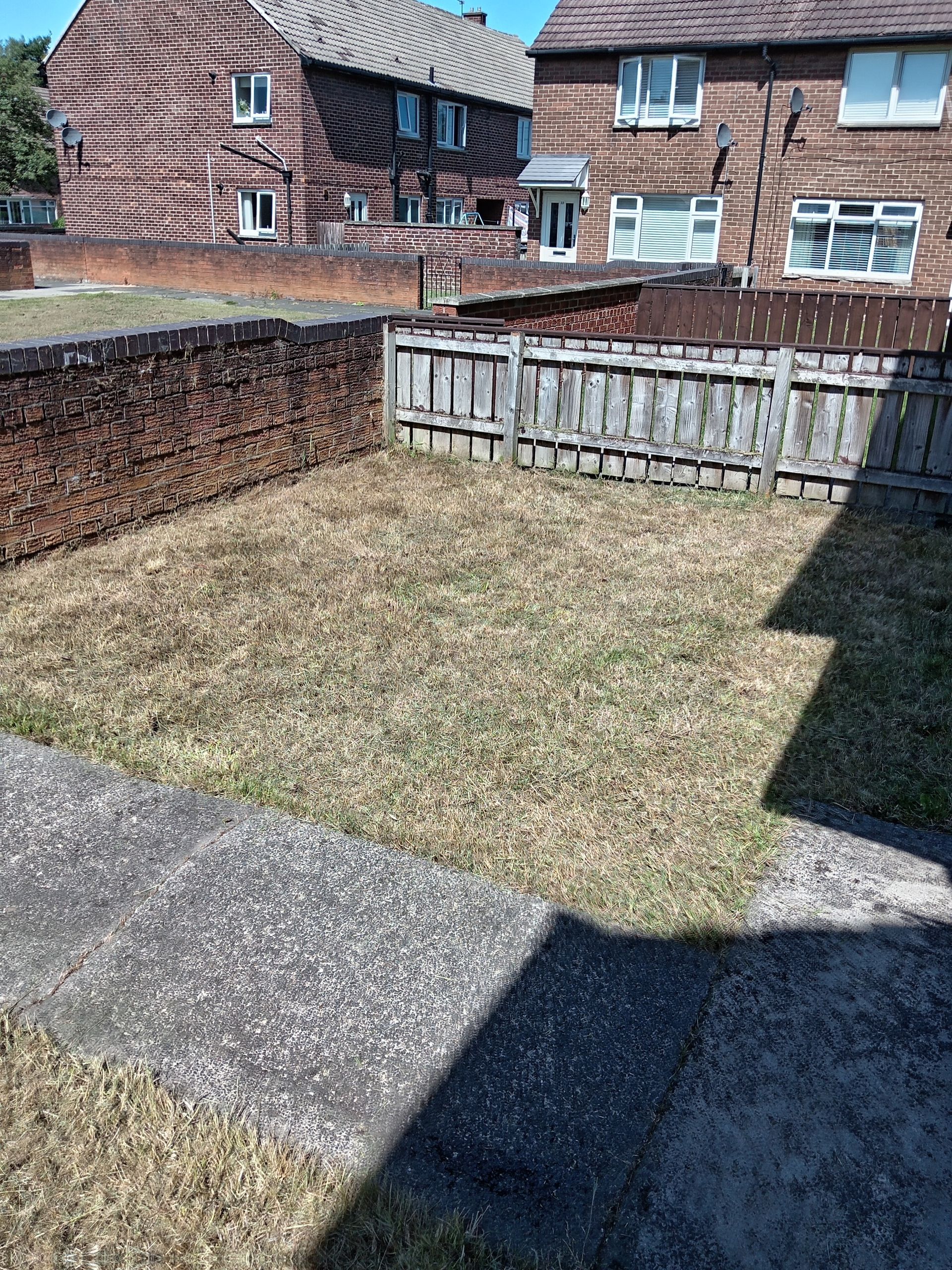 Backyard with dead grass, surrounded by fences, brick wall, and houses.