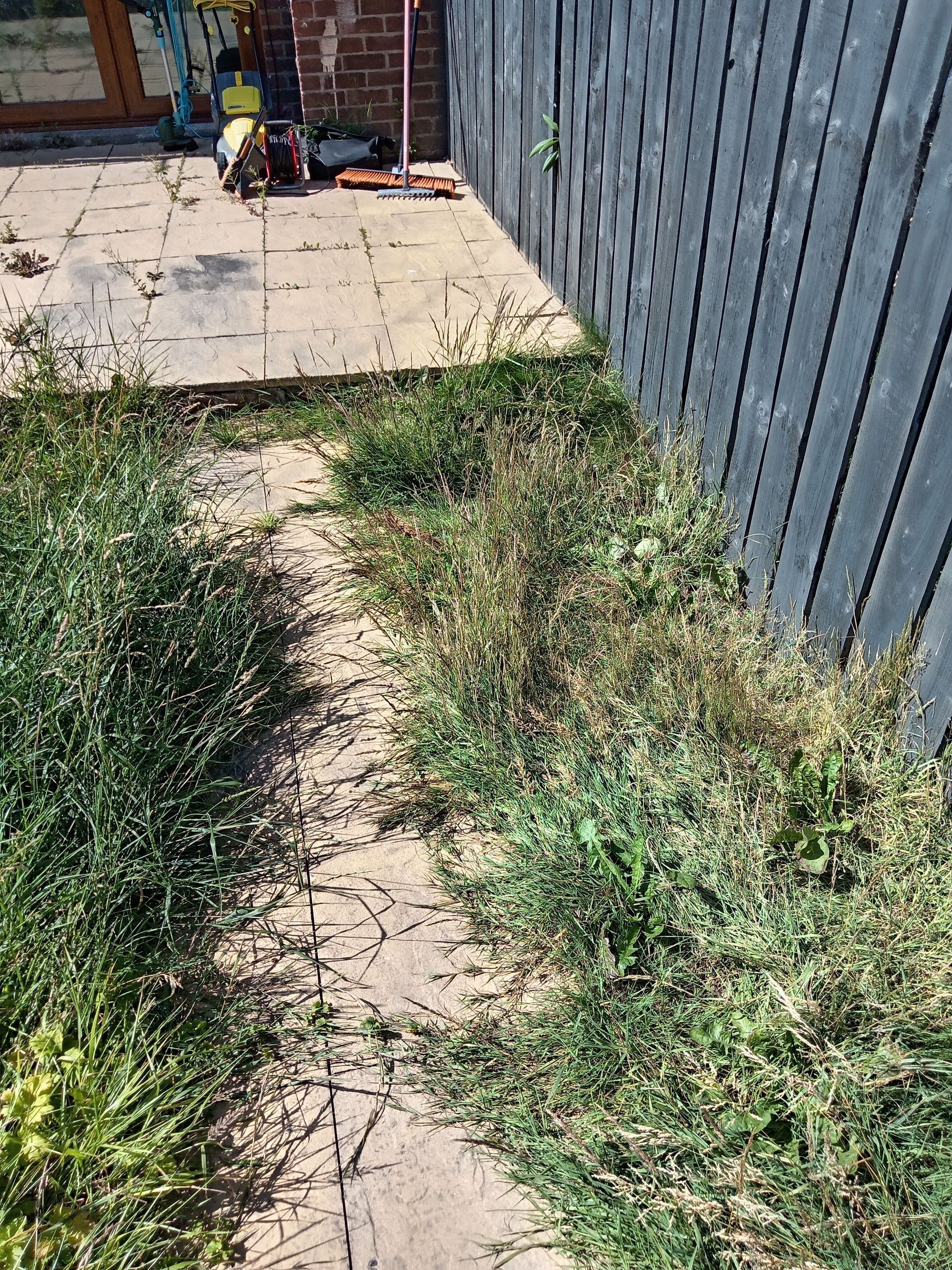 Overgrown weeds growing between cracked paving stones next to a wooden fence.