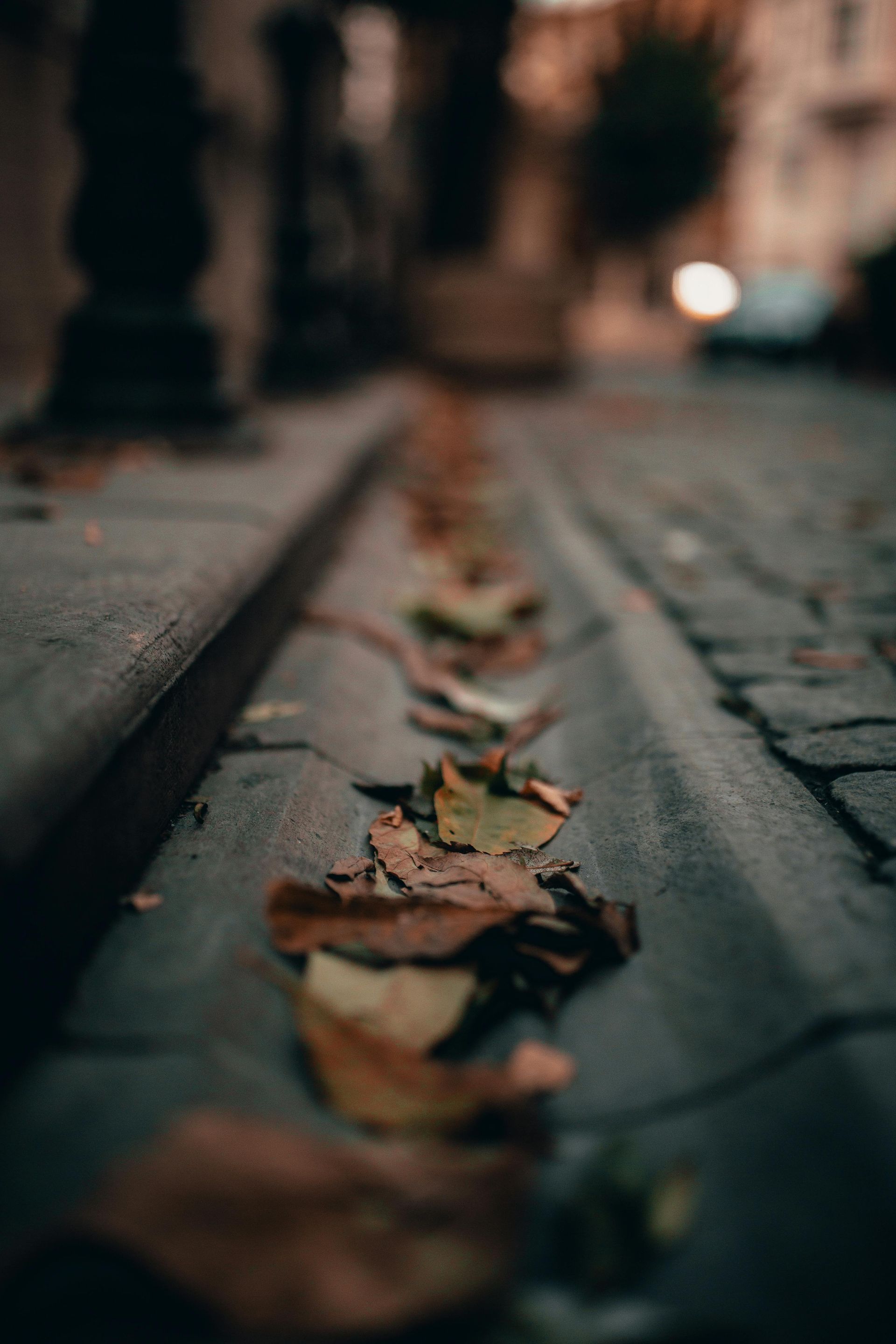 Fallen autumn leaves line a cobblestone street's gutter. Low-angle shot with blurred background.
