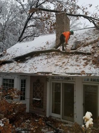 Fallen Tree on the Roof — Pittsburgh, PA — Greater Pitt Tree Service LLC
