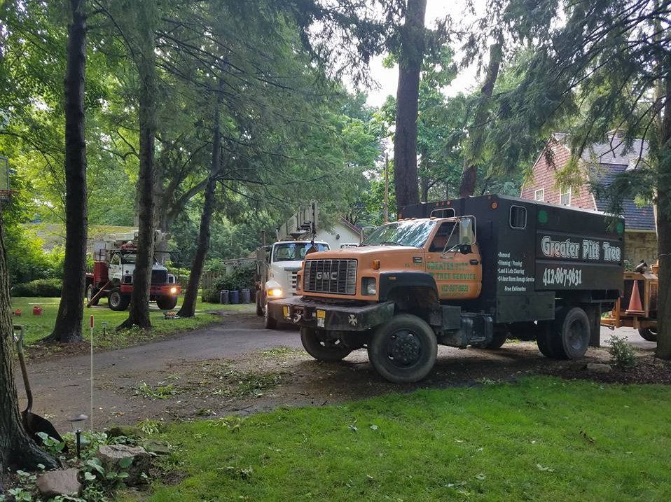 Greater Pitt Tree Truck — Pittsburgh, PA — Greater Pitt Tree Service LLC