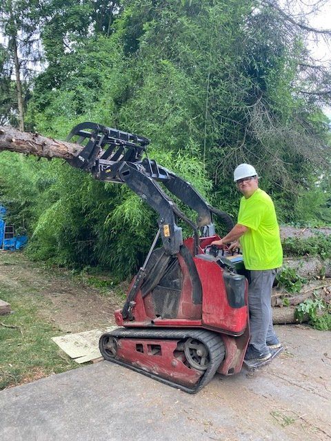 Man Moving the Tree Branches — Pittsburgh, PA — Greater Pitt Tree Service LLC