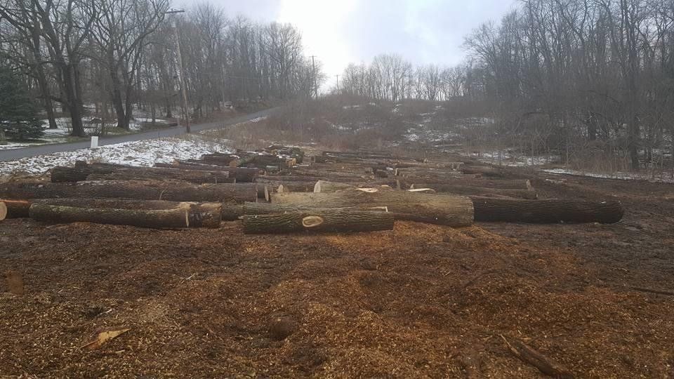 Grading Services — Pittsburgh, PA — Greater Pitt Tree Service LLC