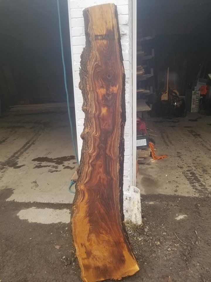 Cut Timber — Pittsburgh, PA — Greater Pitt Tree Service LLC