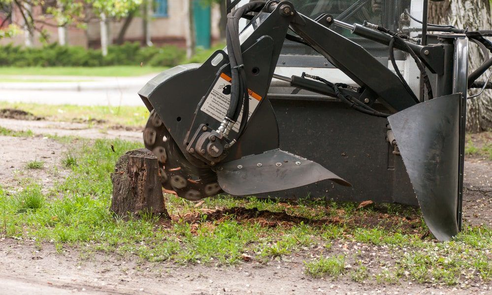 Grinding Stump — Pittsburgh, PA — Greater Pitt Tree Service LLC