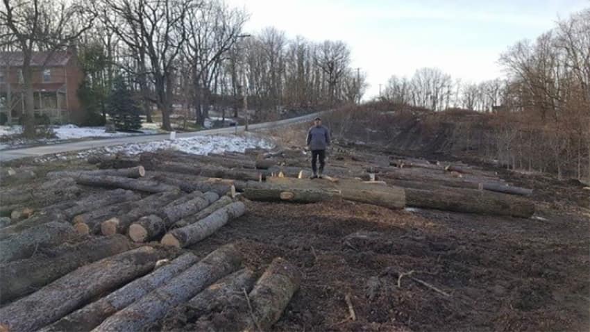 Timber — Pittsburgh, PA — Greater Pitt Tree Service LLC