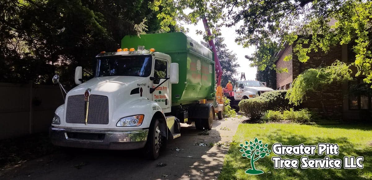 Greater Pitt Tree Truck Parked on the Side of the Road — Pittsburgh, PA — Greater Pitt Tree Service LLC
