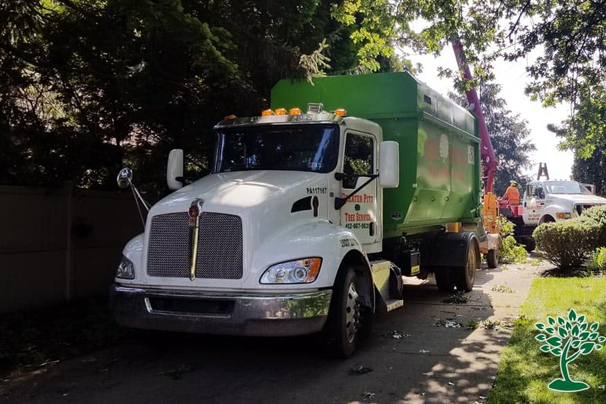 Land Surveying — Pittsburgh, PA — Greater Pitt Tree Service LLC