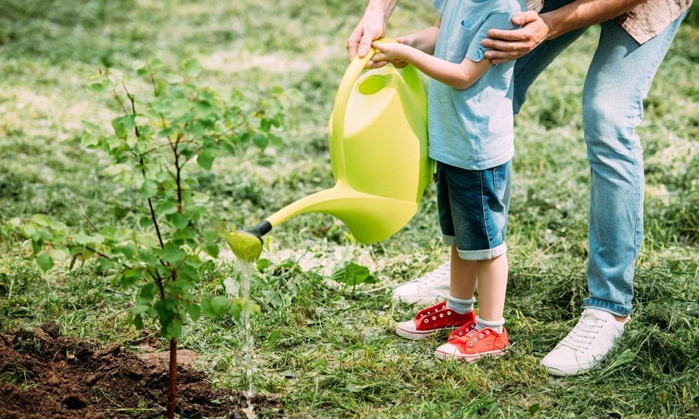 Child Watering a Plant — Pittsburgh, PA — Greater Pitt Tree Service LLC Child Watering a Plant — Pittsburgh, PA — Greater Pitt Tree Service LLC