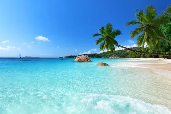 Tropical beach with turquoise water, white sand, palm trees, and a clear blue sky.