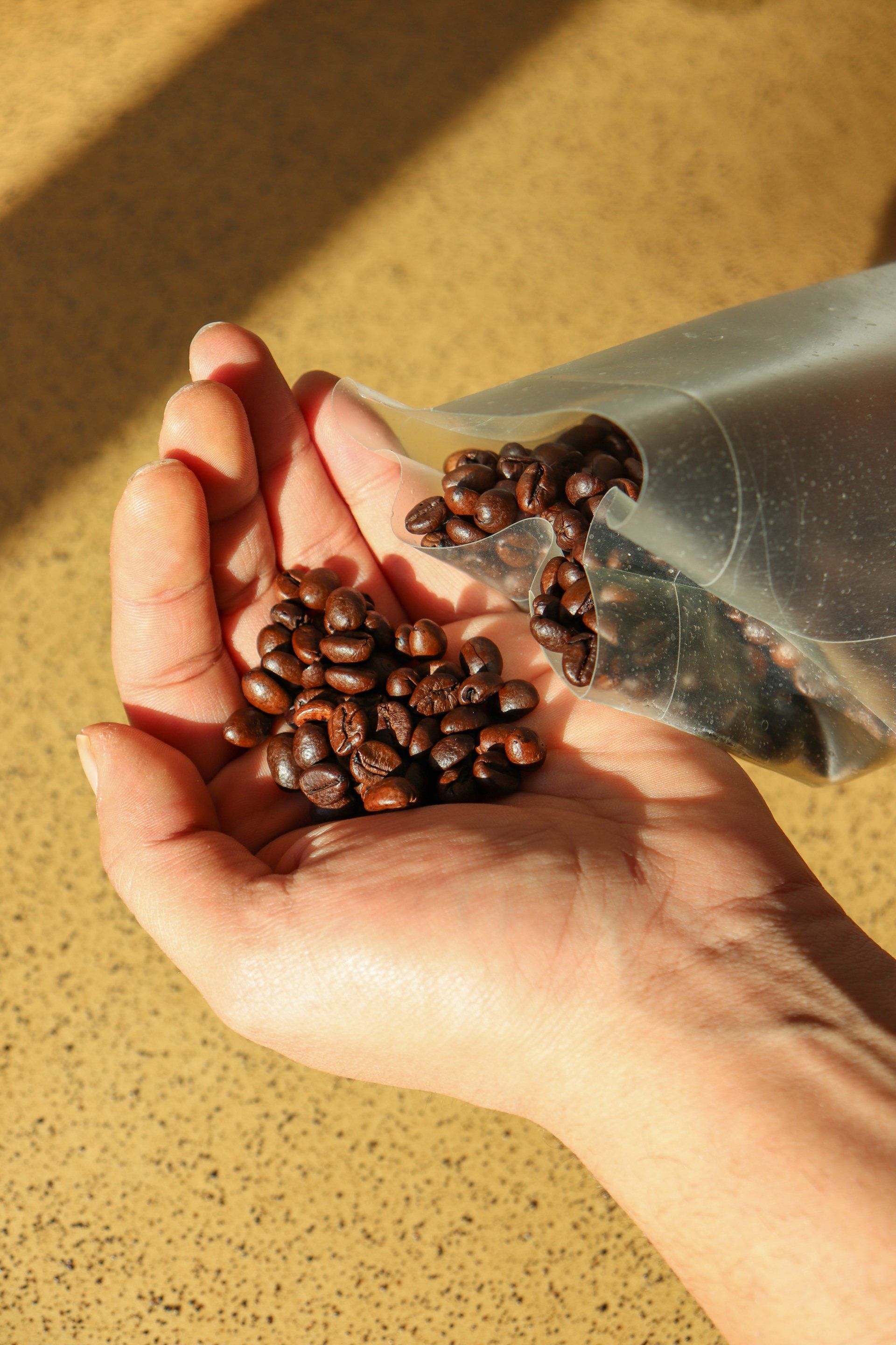 Imagenes workshop bioplásticos café Barcelona con SlowMov