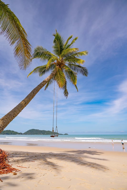 There is a swing hanging from a palm tree on the beach.