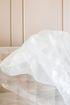 A white cloth is blowing in the wind on a bed.