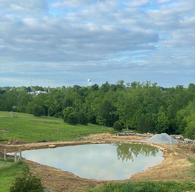 A small pond in the middle of a grassy field