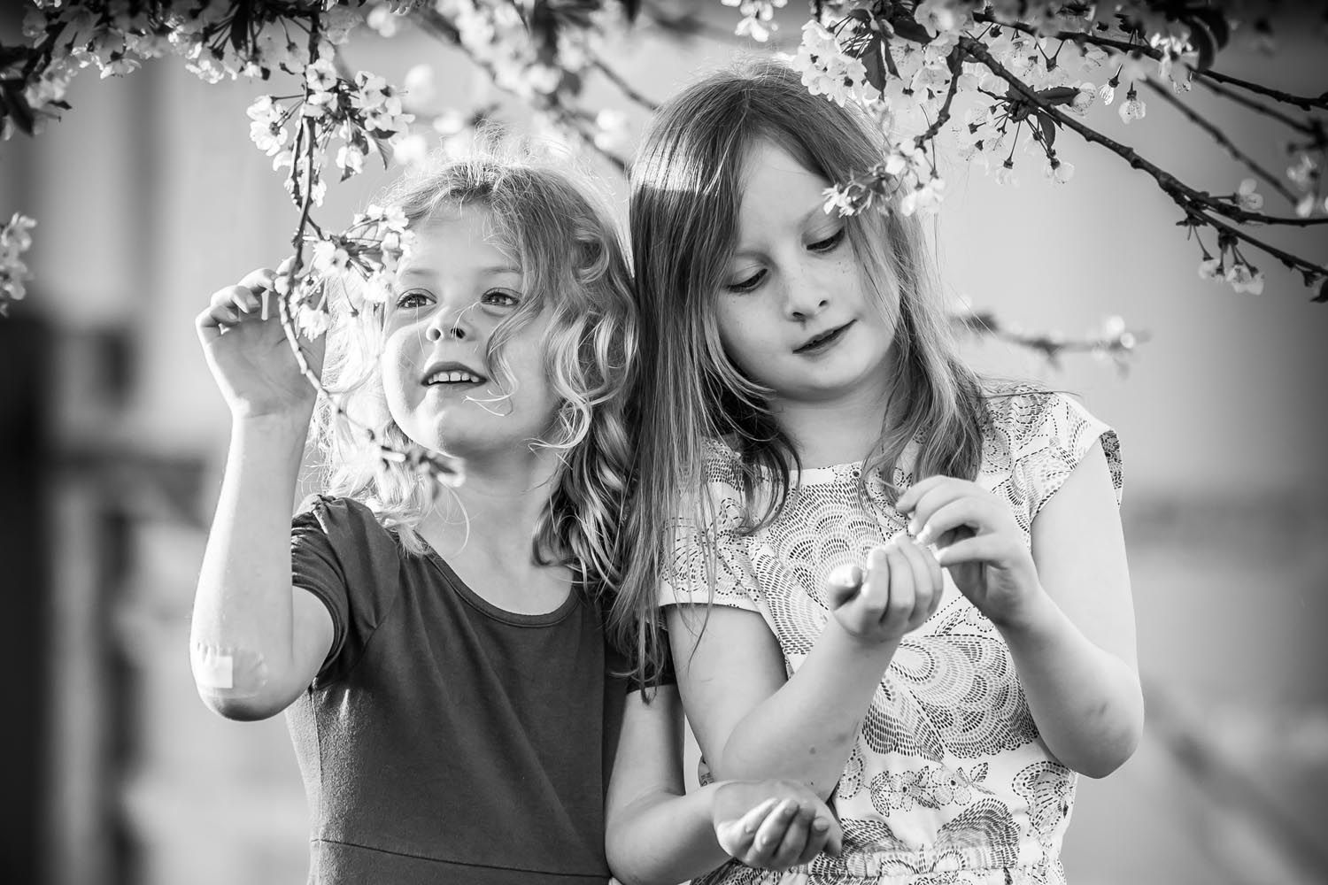Two little girls are standing next to each other under a cherry blossom tree.