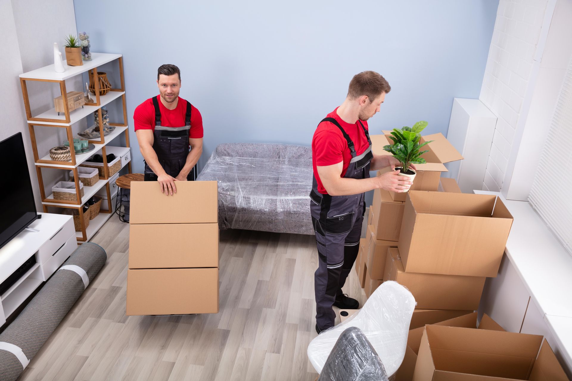 Two men are moving boxes in a living room.