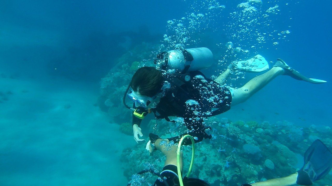scuba-diver