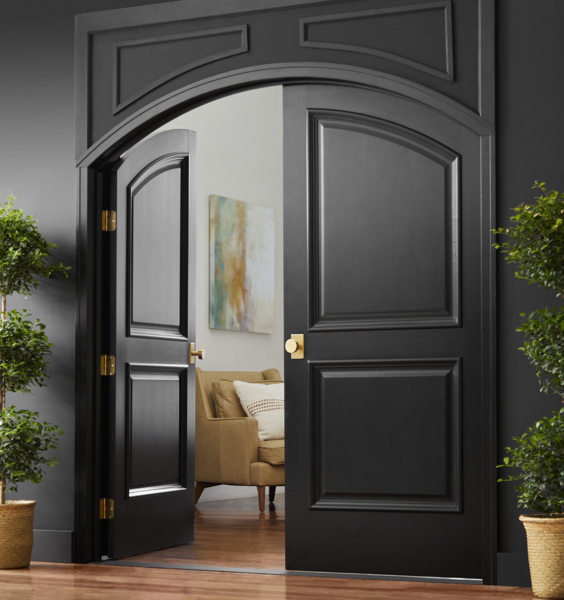 Black double doors, arched at the top, opening to a living room. Green plants on either side.