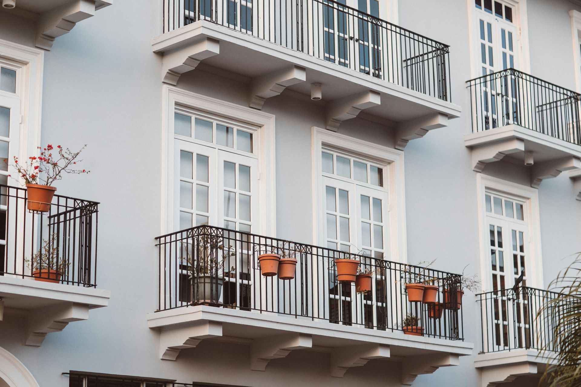 Light blue building facade with white-framed windows and wrought-iron balconies, each with potted plants.