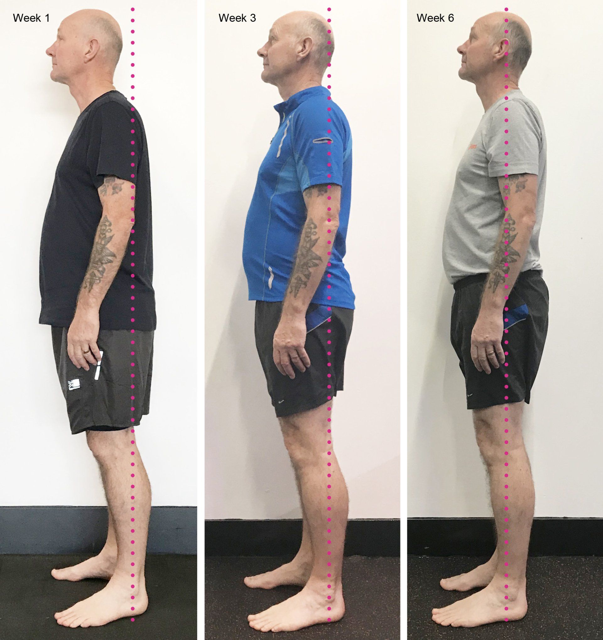Posture Improvement, increase mobility, somatic movement, ease pain