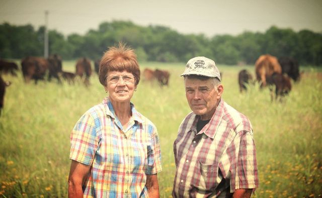 Braune Farms Beef photo 17