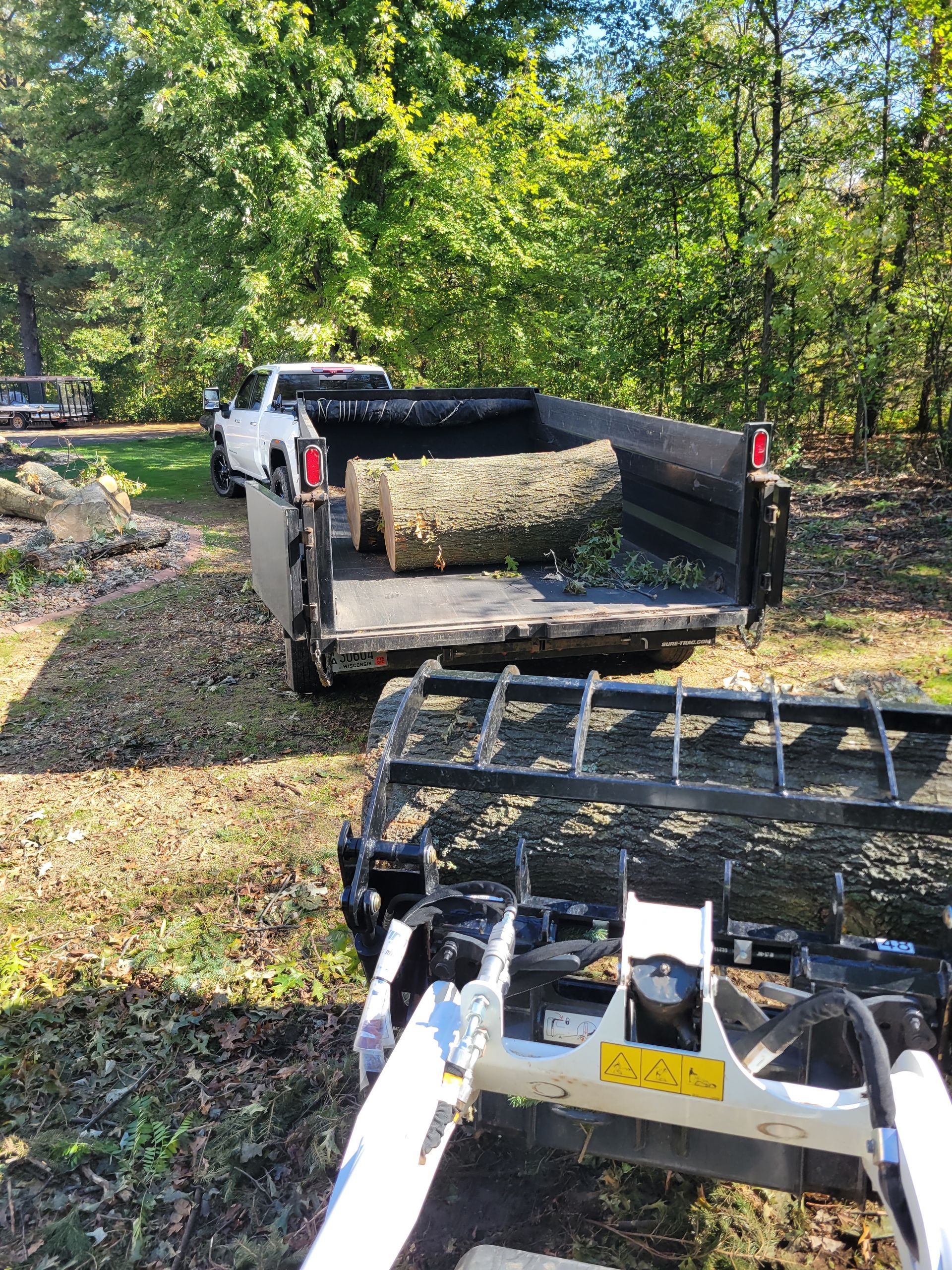 A truck is carrying a large log in the back of it.
