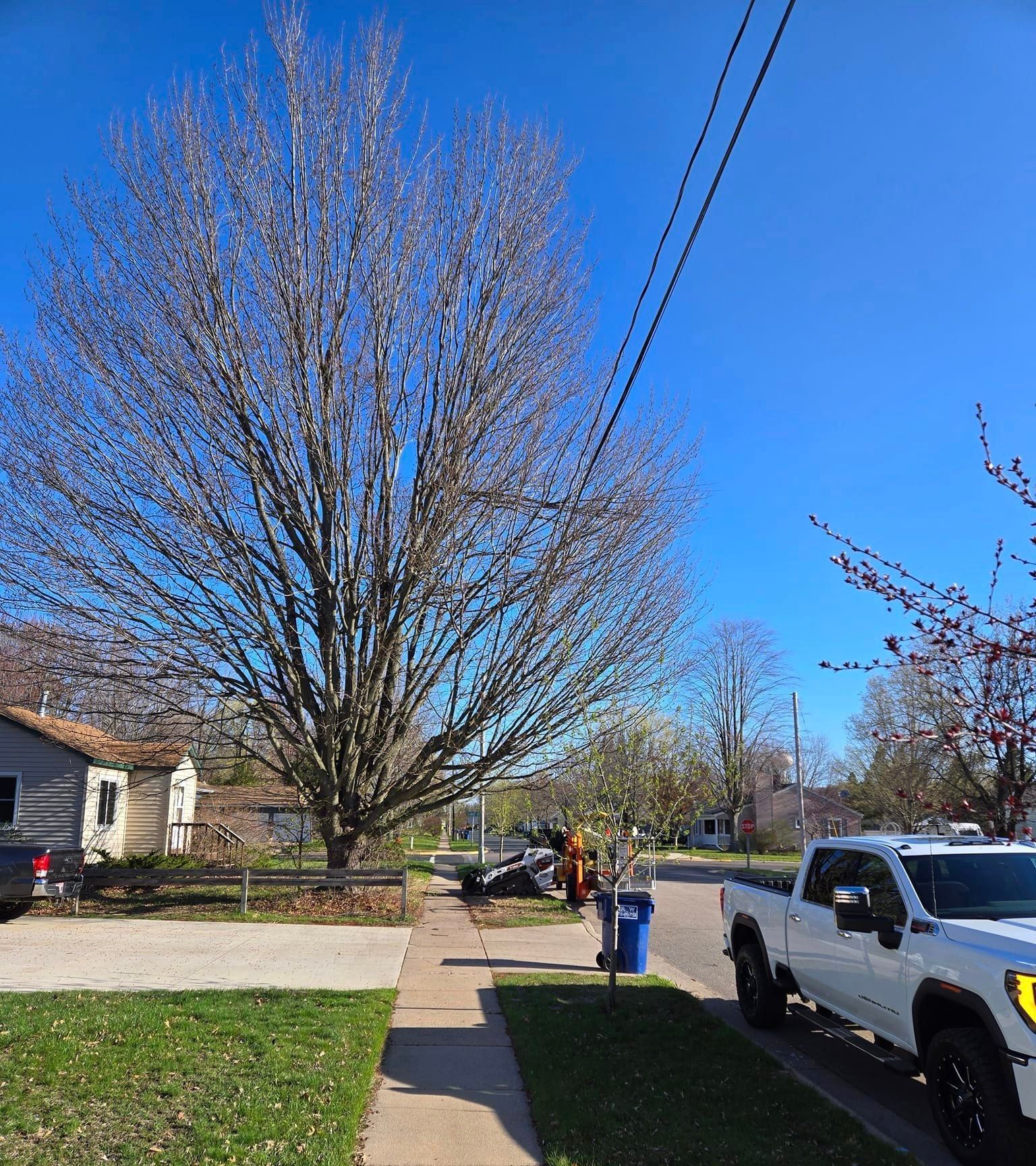 tree removal close to power lines in Rothschild, WI